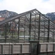 The greenhouse on the roof of the Ramaley Biology building is partly obscured from view at ground level. Up on the roof, it enjoys the full benefit of those famous 300 days of Boulder sunshine annually. Photo by Laura Kriho.