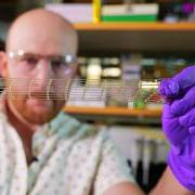 A researcher stretches a material made for 3D printing